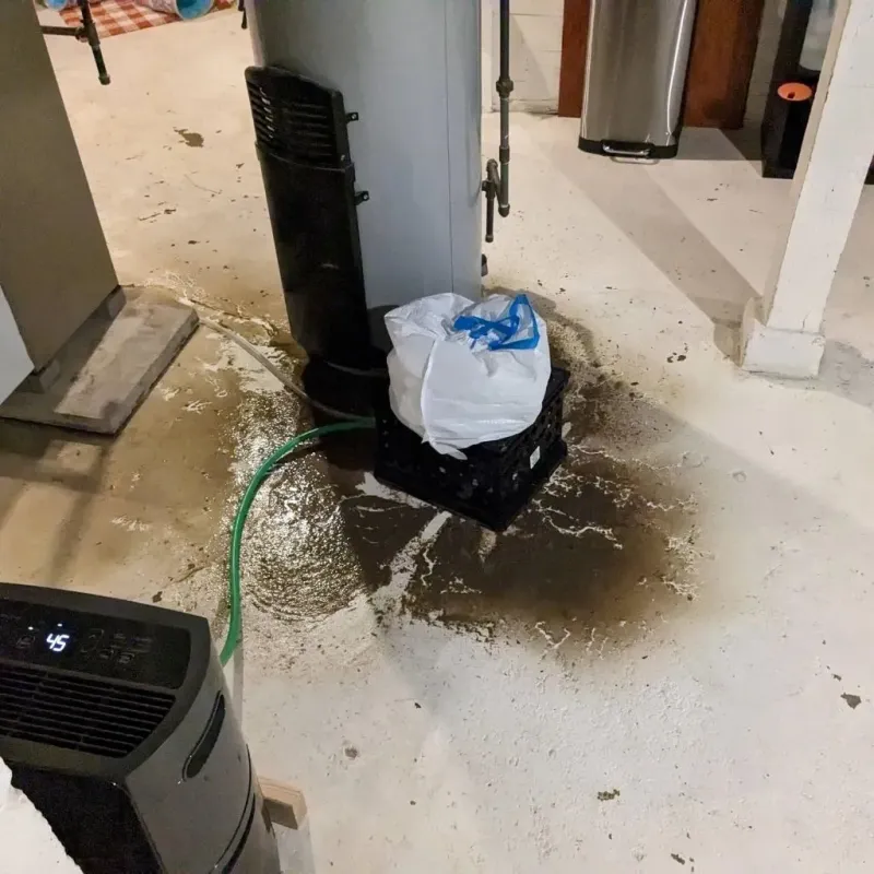 Sewage Backup Cleanup Service in Marshall County, MN